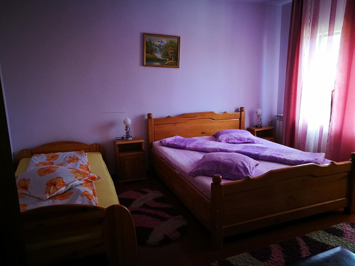 Pensiunea Ramona Carpinisu Экстерьер фото